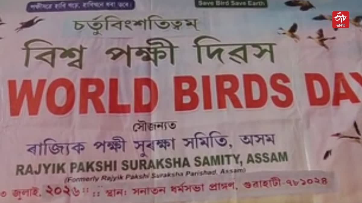World Seabird Day 2026