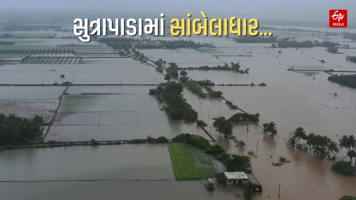 વડોદરા ઝાલા ગામના ખેતરો-ઘરો પાણીમાં ગરકાવ, ડ્રોનમાં સામે આવ્યા પૂર જેવી સ્થિતિના દૃશ્યો