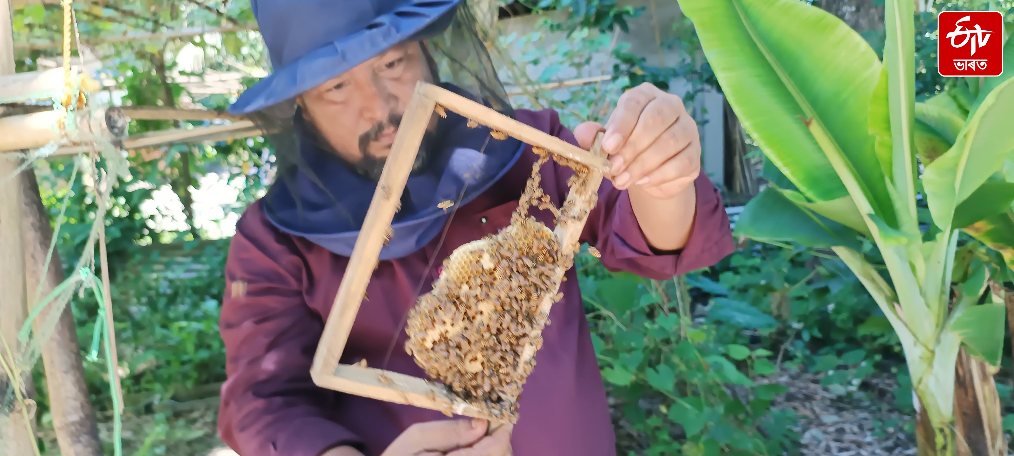 A honey farmer dreams of producing Apitoxin and capturing the global market
