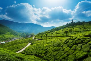 irctc_munnar_tour_packages_price