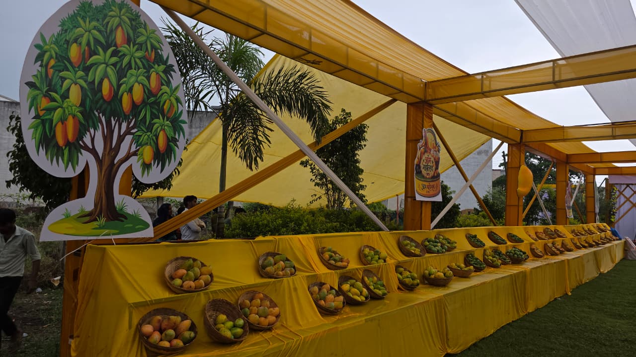 Pandariya BJYM Mango Festival