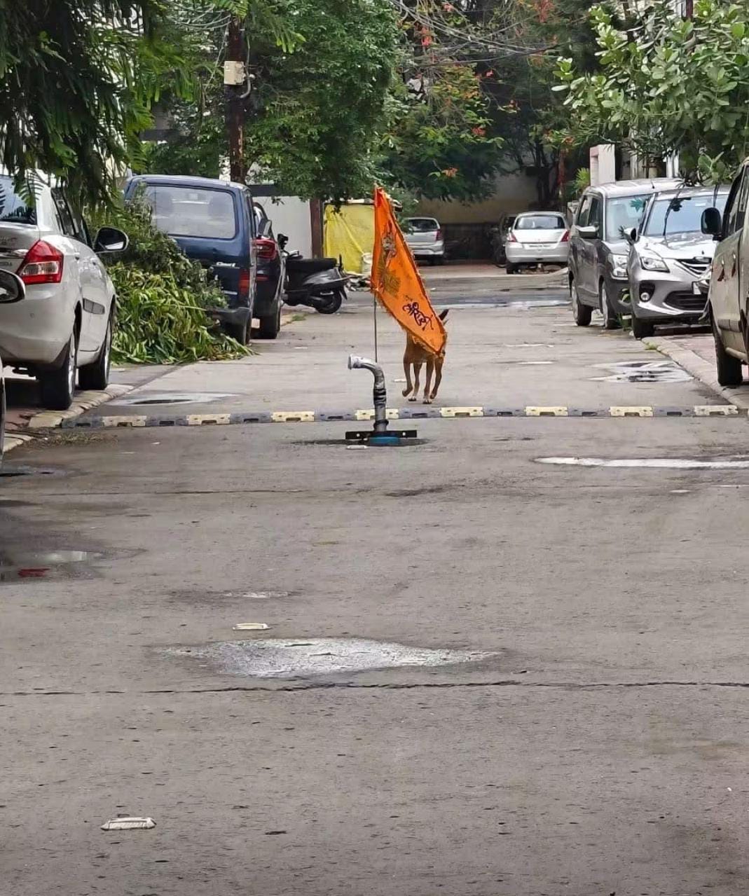 Borewell Drilled Middle Road