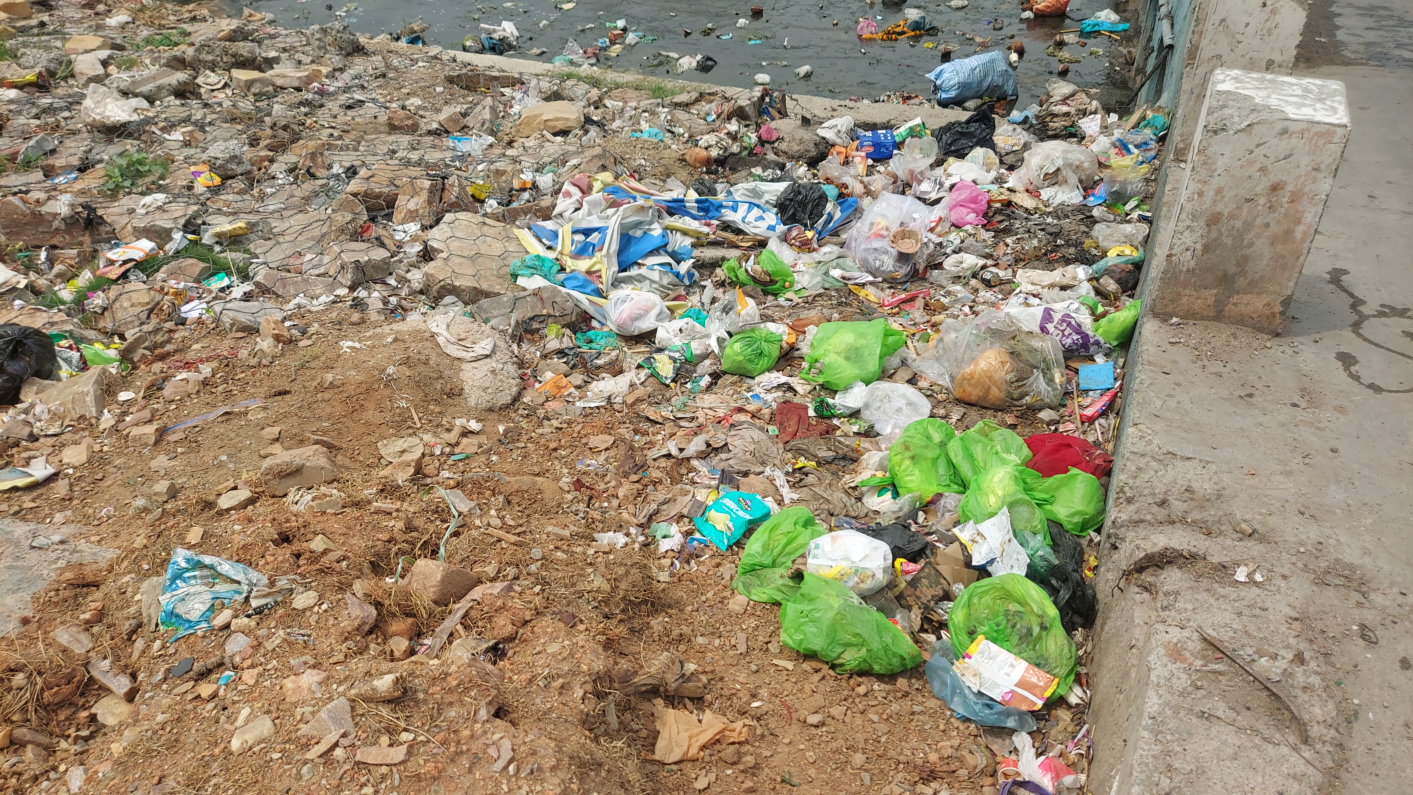 शहर में फैला प्लास्टिक कचरा