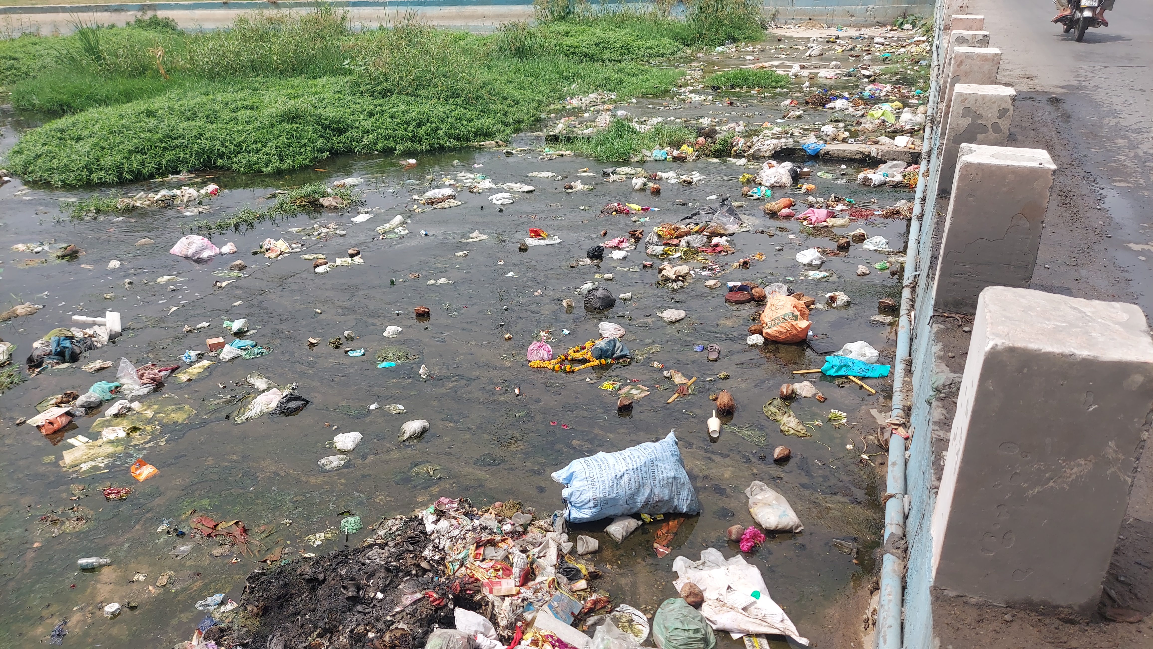 Plastic Bag Free Day