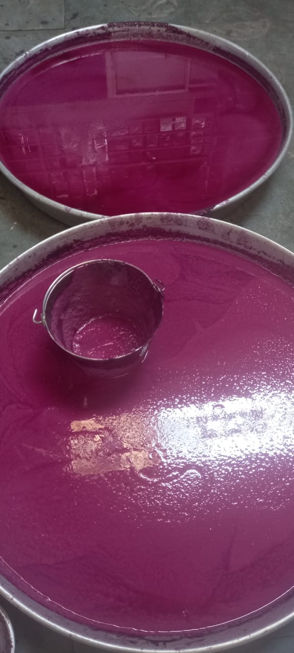 Pushkar’s Jamun Boom: The Superfruit Farmers Risk Their Lives To Harvest, Sell For Rs 200–250 per kg