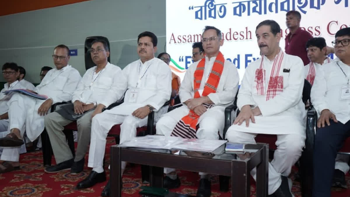 APCC extended Executive meeting