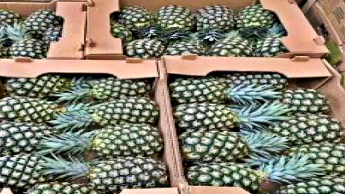 for the first time Pineapple exports from Assam to the United Arab Emirates
