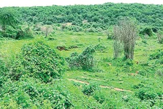 Defence Cluster Unit At Jaggayyapeta NTR District