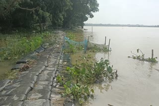 Ganga erosion in Nadia