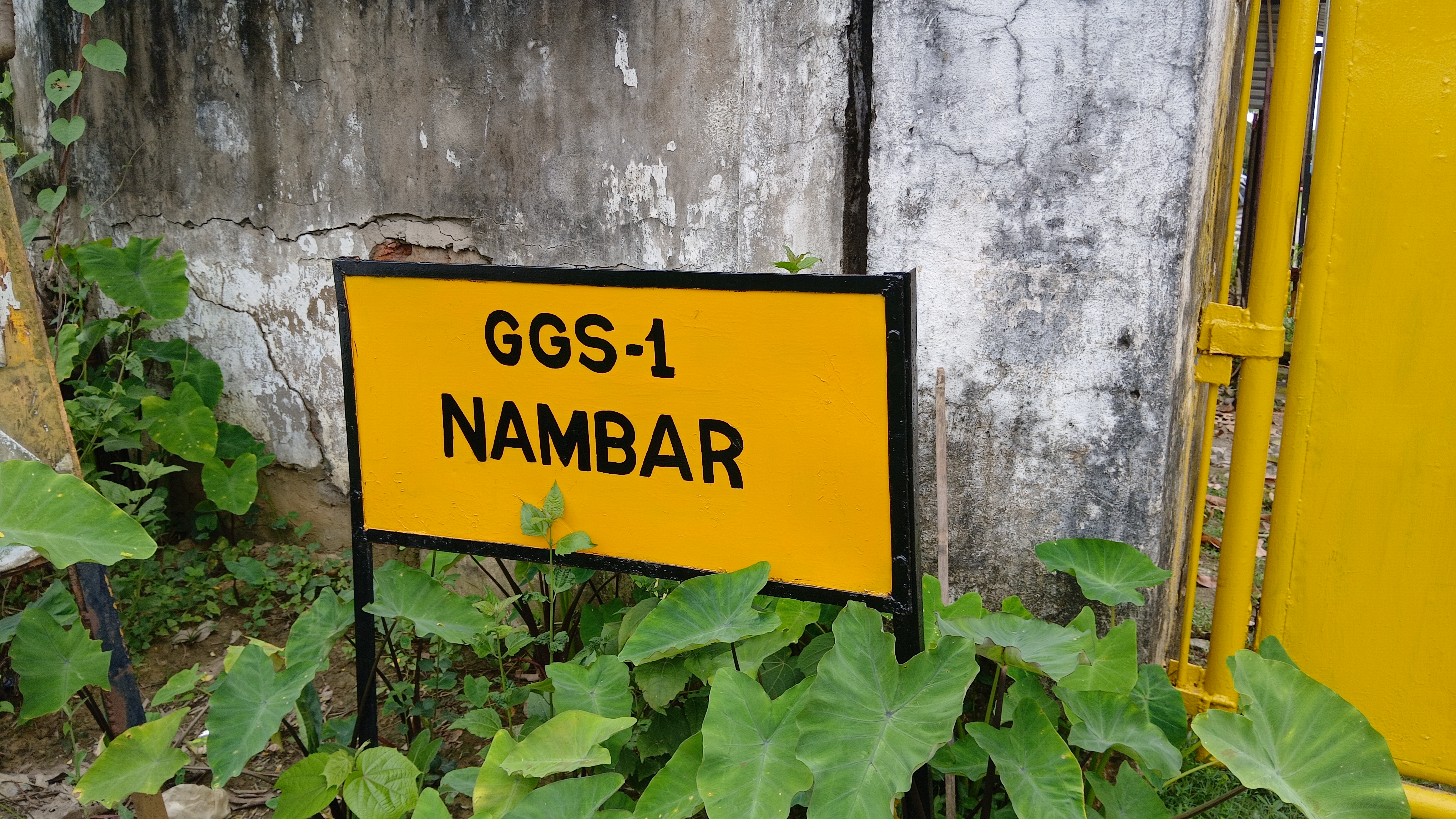 Assam Nagaland border eviction drive