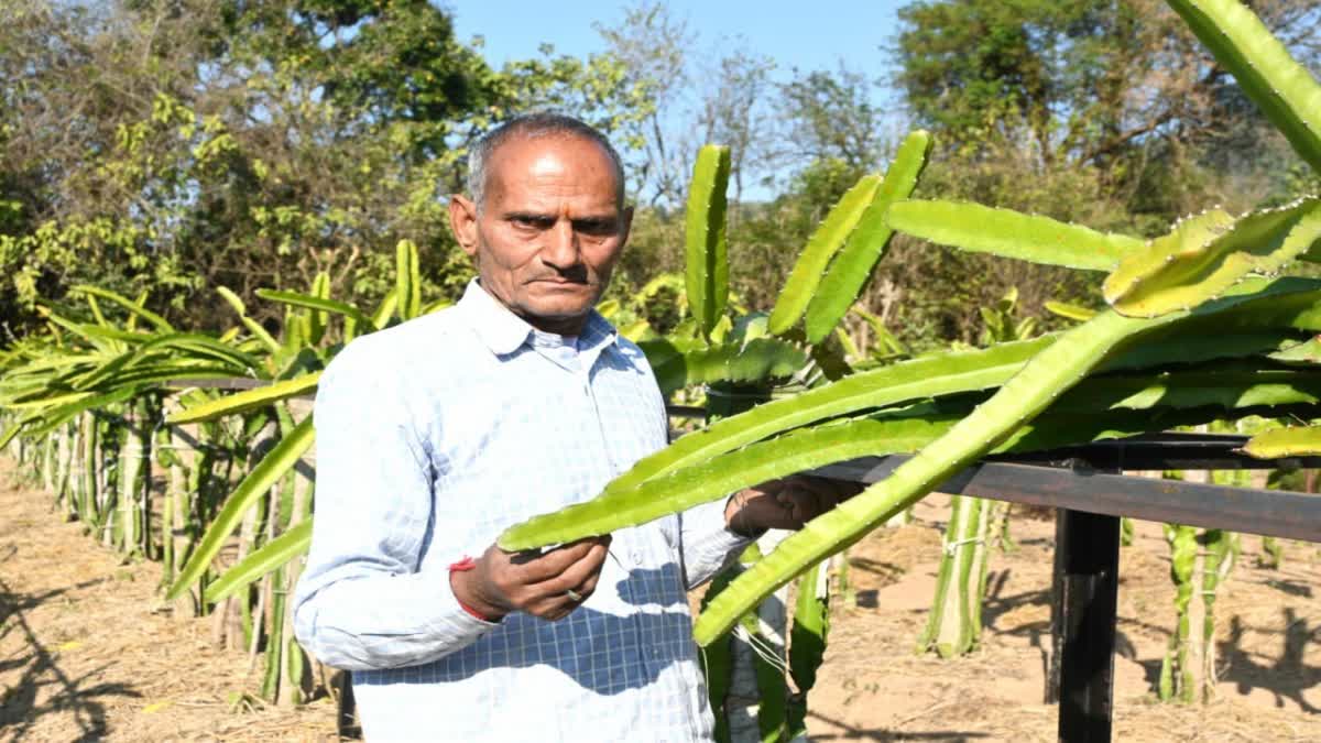 हिमाचल में बदली बागवानी की तस्वीर