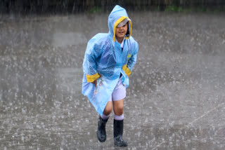 INDIAN SUMMER MONSOON RAINFAL