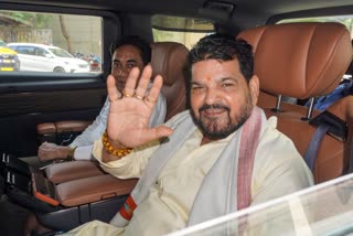Brij Bhushan Sharan Singh