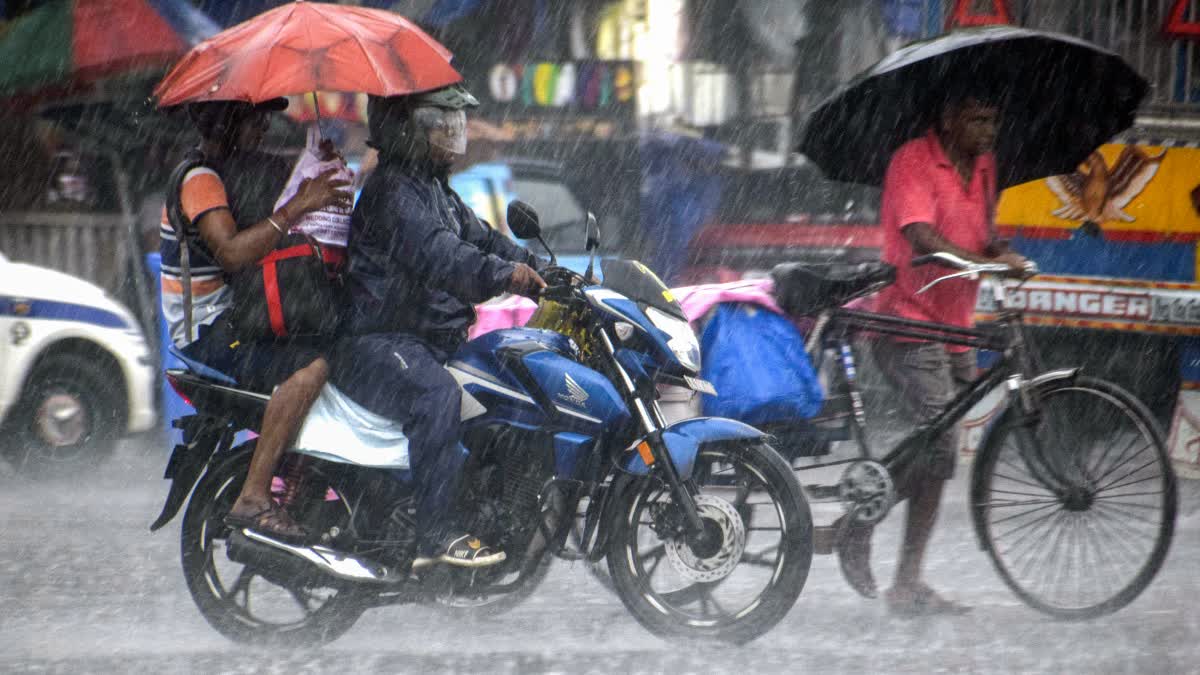weather forecast update