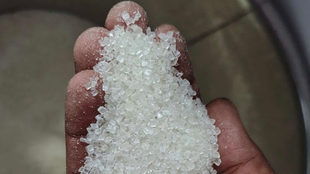 Retail Sugar Price Drops 3.85 Pc To Rs 62.57/Kg In A Week: Govt Data
