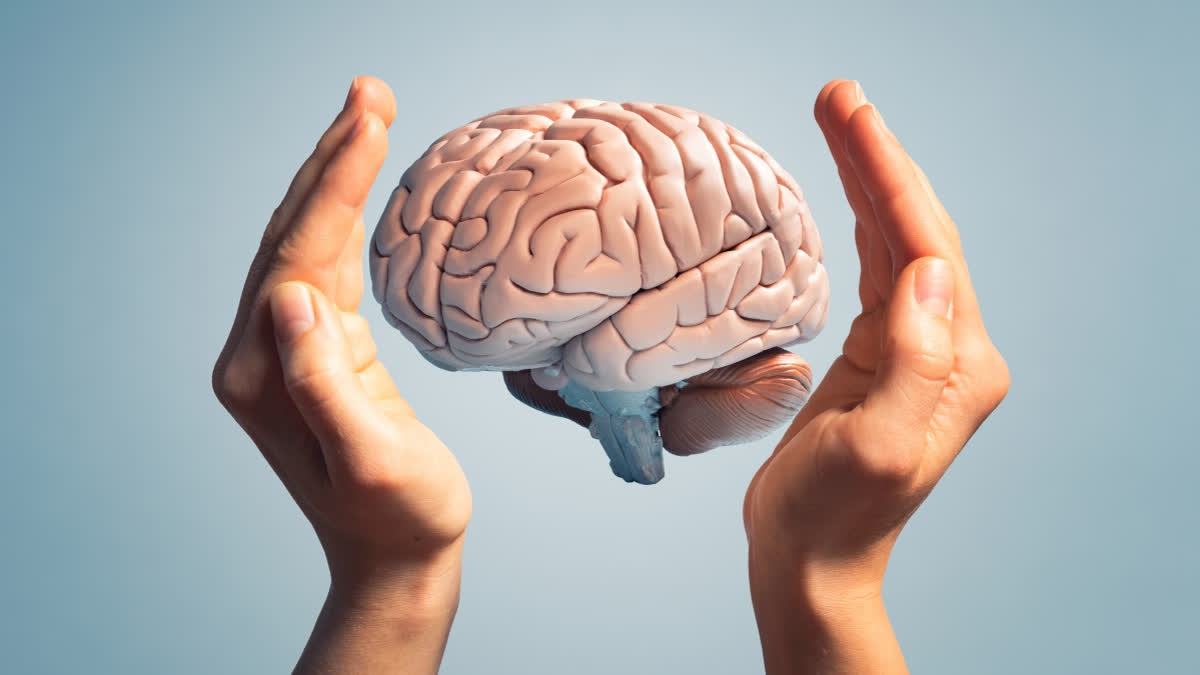 ಮೆದುಳಿನ ರಕ್ತನಾಳಗಳ ಆರೋಗ್ಯಕ್ಕೆ ಟಿಪ್ಸ್ BALANCED NUTRITIOUS DIET EFFECTS OF TEA COFFEE ON THE BRAIN REGULAR EXERCISE ENOUGH SLEEP