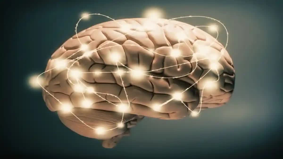 ಮೆದುಳಿನ ರಕ್ತನಾಳಗಳ ಆರೋಗ್ಯಕ್ಕೆ ಟಿಪ್ಸ್ BALANCED NUTRITIOUS DIET EFFECTS OF TEA COFFEE ON THE BRAIN REGULAR EXERCISE ENOUGH SLEEP
