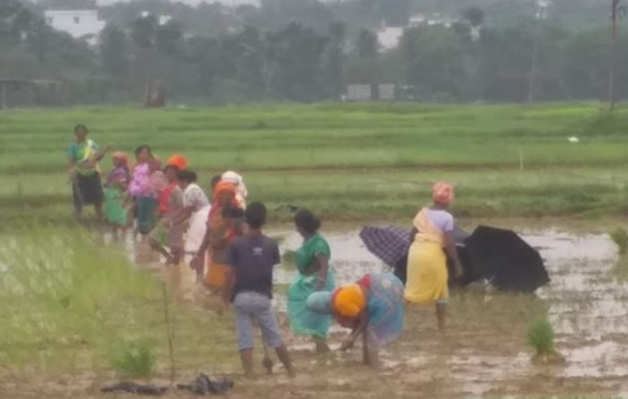 Kharif crop coverage
