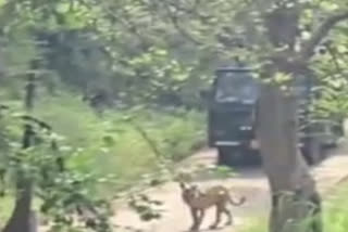 Ranthambore National Park