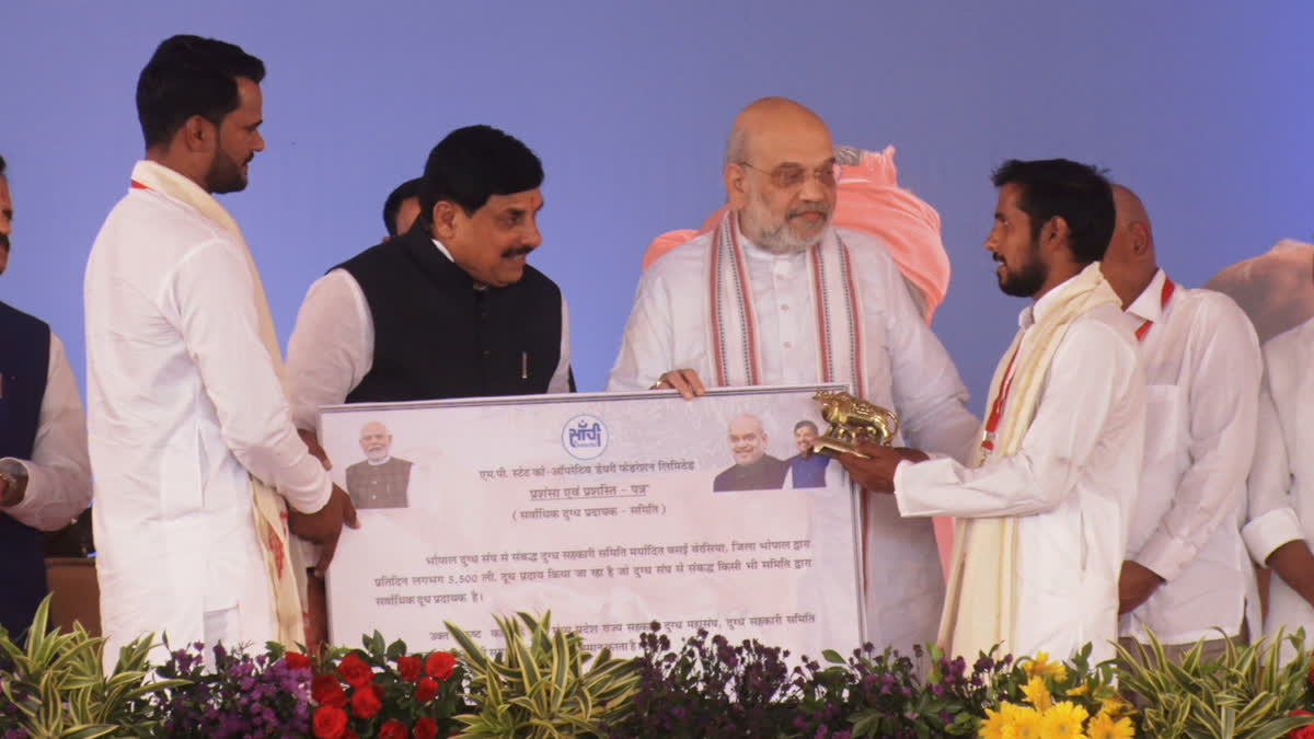 Union Home Minister Amit Shah announced a grant of Rs 101 crore for cow shelters in Madhya Pradesh's Bhopal on Saturday.  Shah addressed a gathering of approximately 35,000 cow protectors from 11 districts at the BHEL Dussehra grounds and performed a virtual groundbreaking ceremony for a Rs 255 crore dairy plant bei