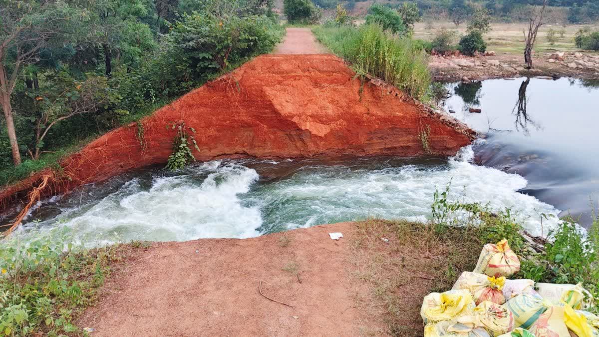 धमतरी में राजाडेरा बांध टूटने से हड़कंप, किसानों ने सिंचाई विभाग पर लगाया लापरवाही का आरोप