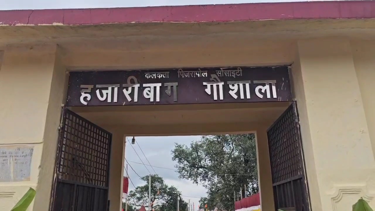 No Students Here But Only Cows! Hazaribagh’s Gaushala Reinvents The Idea Of A Hostel