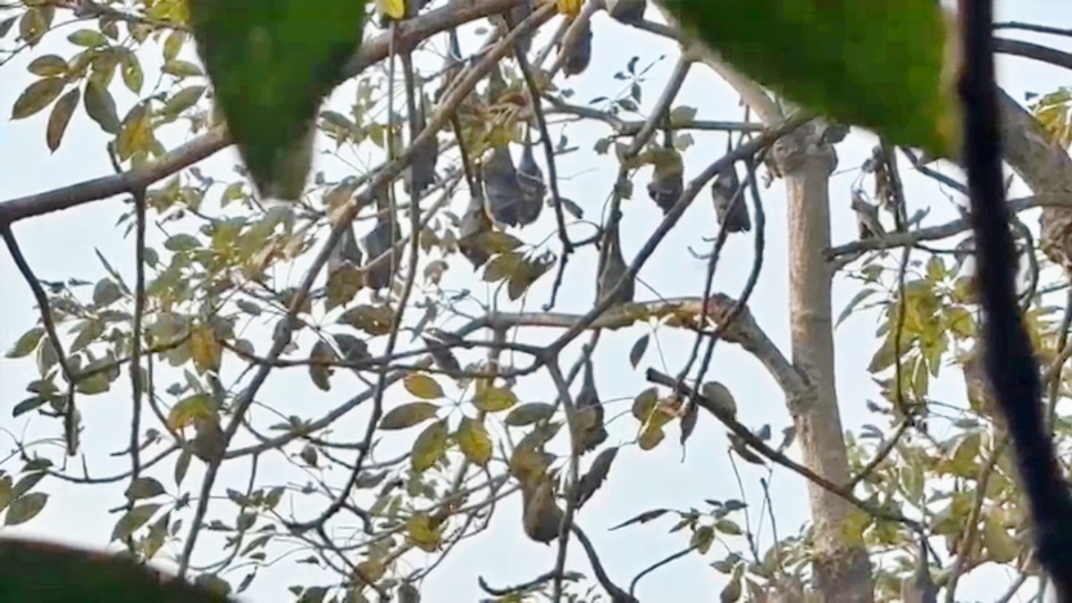 UNIQUE VILLAGE IN BIHAR