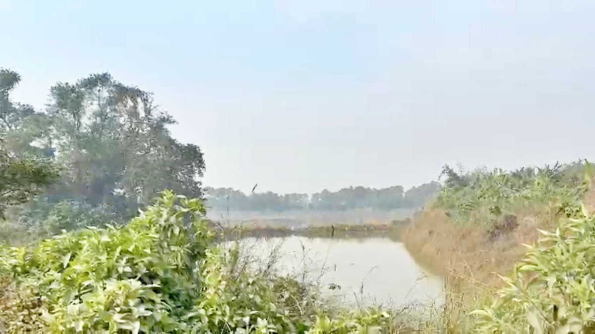 UNIQUE VILLAGE IN BIHAR