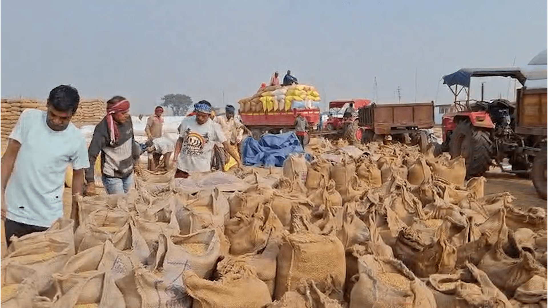 धान खरीदी की लिमिट घटी, टोकन में एक महीने की वेटिंग से किसान परेशान
