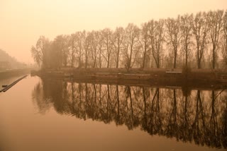 A view of sunrise through the Chinar trees on a cold winter morning, in Srinagar on Tuesday, December 2, 2025