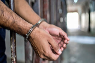 6 more accused arrested in international cyber fraud case