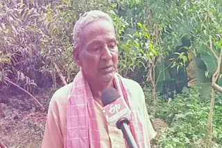 Dhaneshwar Barik plants trees