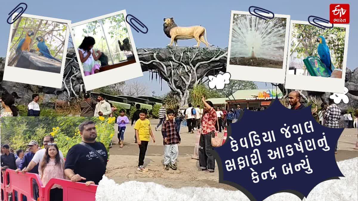 કેવડિયા જંગલ સફારીની એક વર્ષમાં 10 લાખ લોકોએ લીધી મુલાકાત