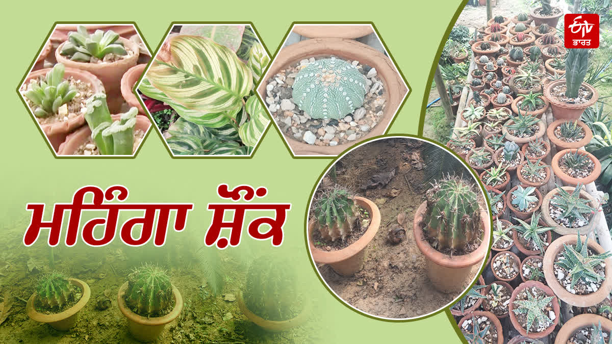 FORMER CHIEF SECRETARY ANJANI SINGH