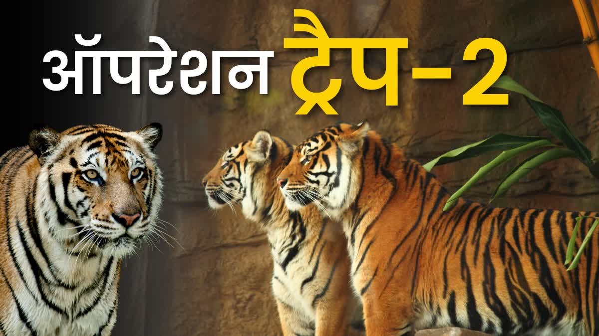 MP TIGER RESERVES OPERATION TRAP 2