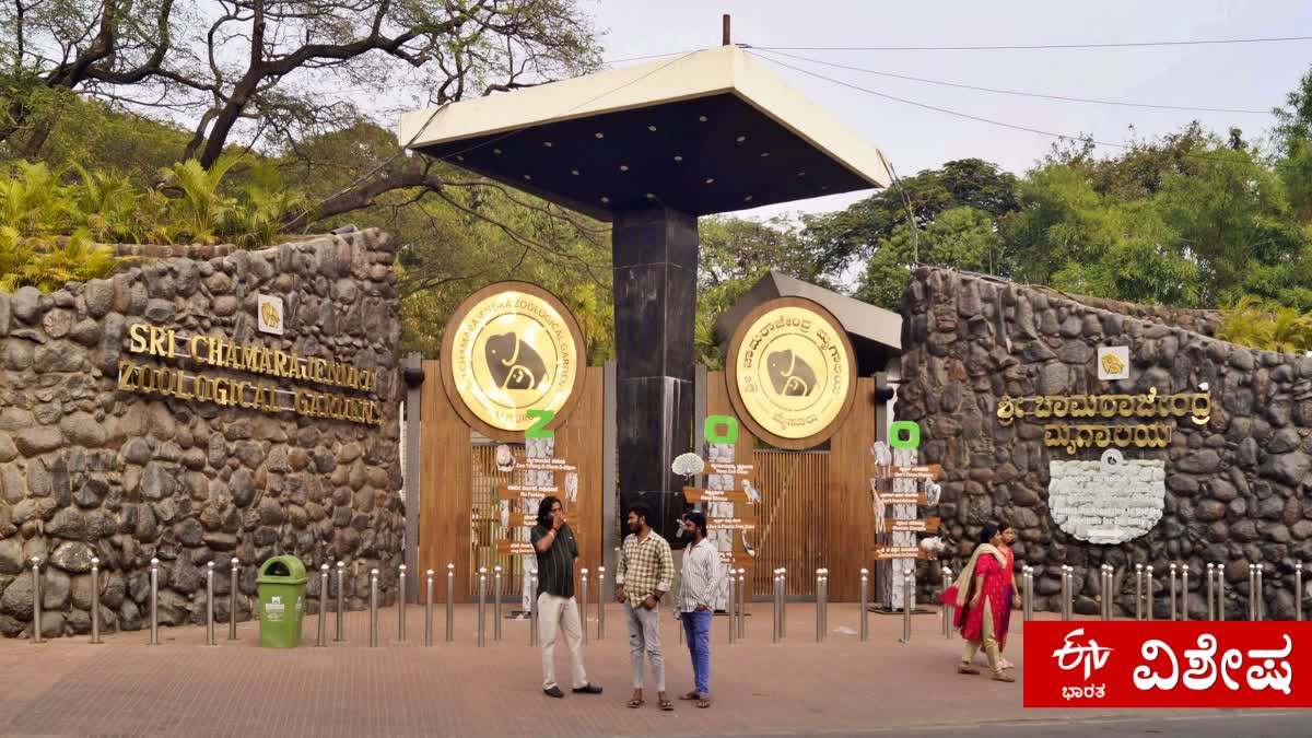 MYSURU ZOO  CHAMARAJENDRA ZOOLOGICAL GARDENS  MYSURU  ಪ್ರಾಣಿಗಳ ದತ್ತು ಯೋಜನೆ