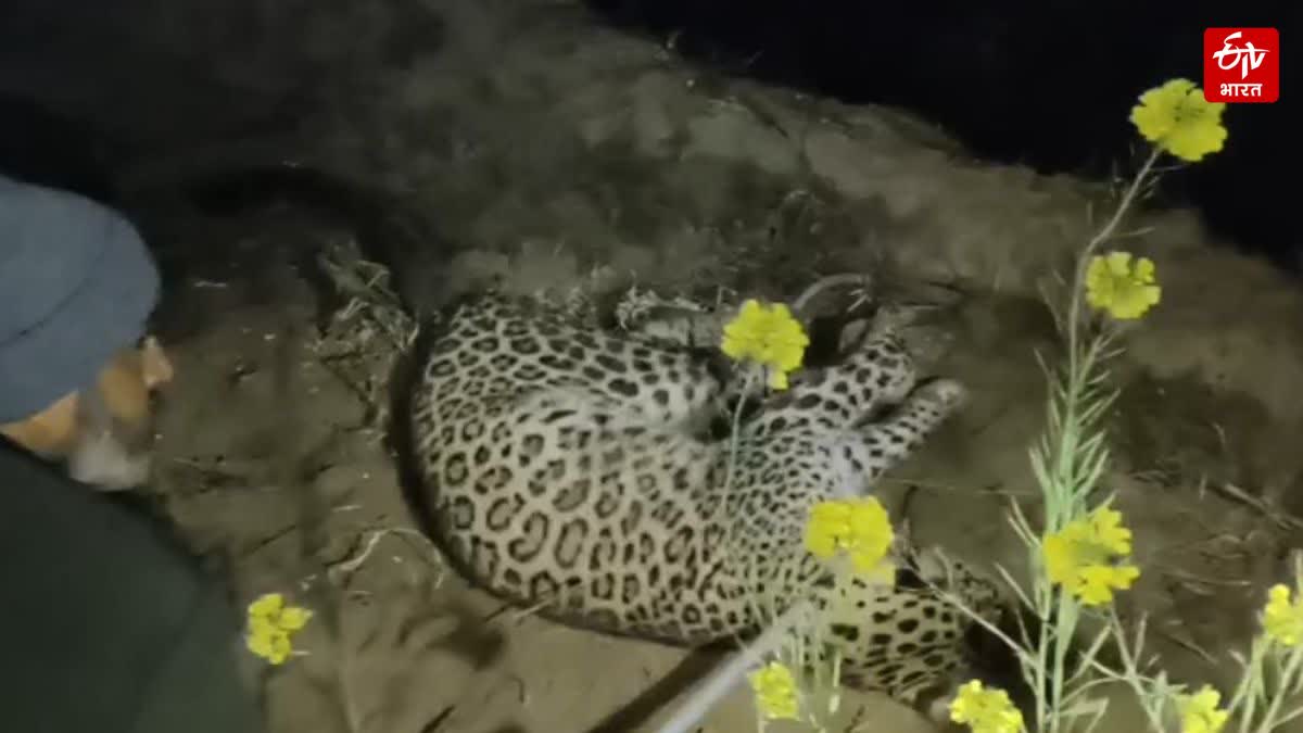 Photo Credit; ETV Bharat