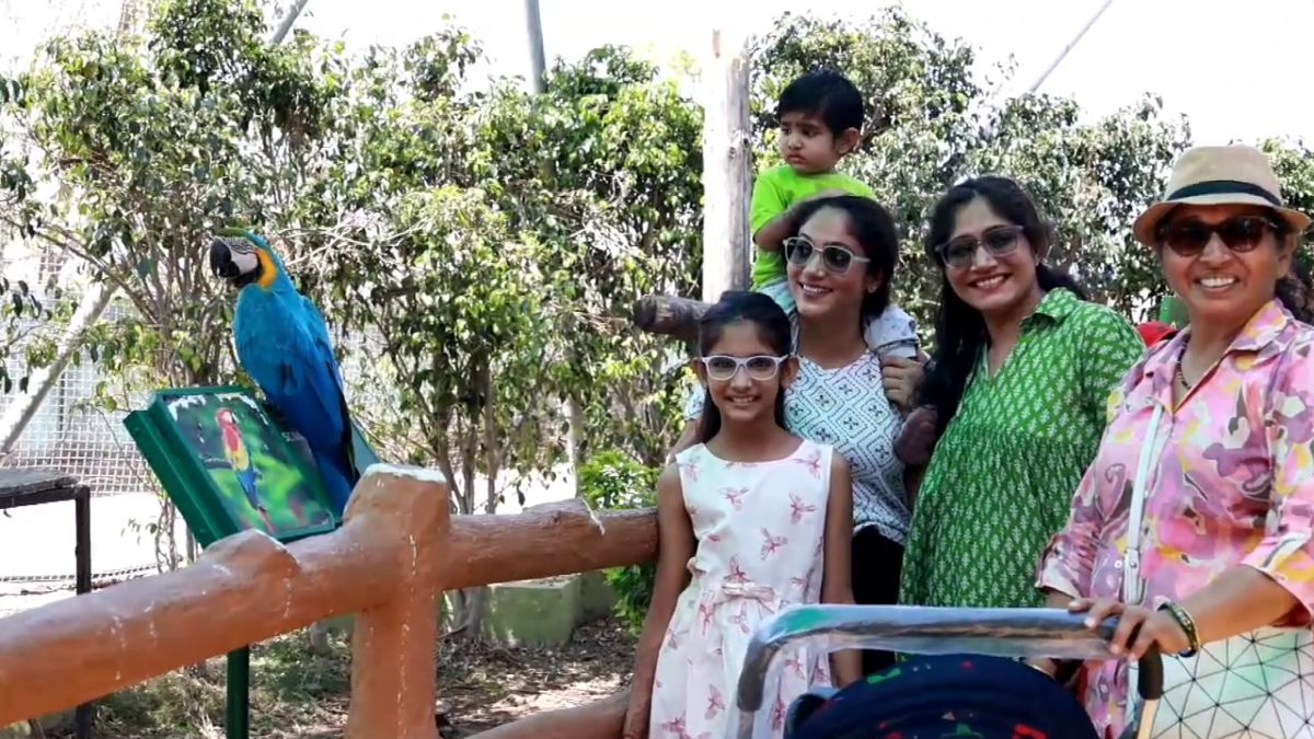 જંગલ સફારી દેશ-વિદેશના પ્રવાસીઓ માટે આકર્ષણનું કેન્દ્ર બન્યું,