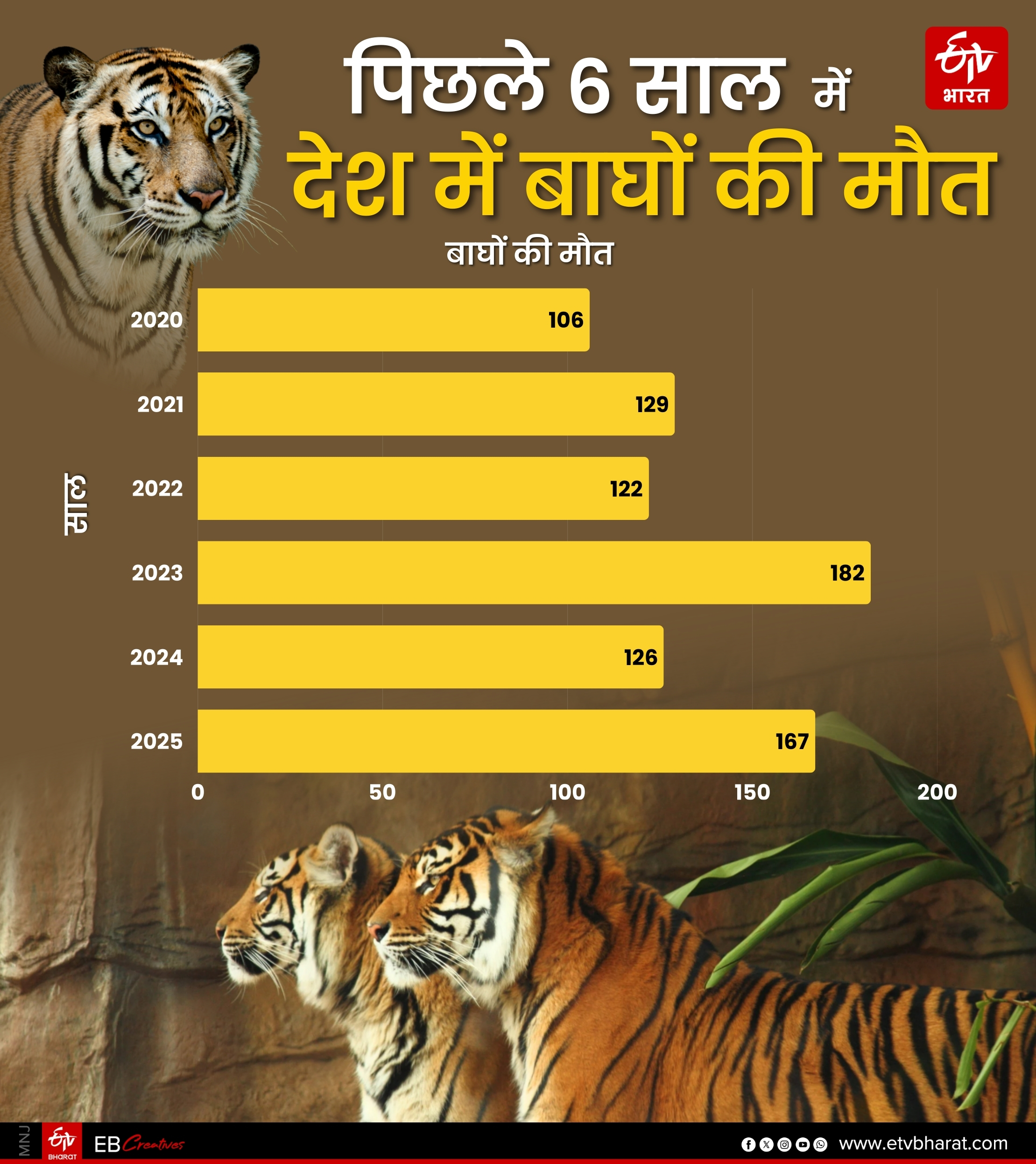 INDIA TIGER DEATHS