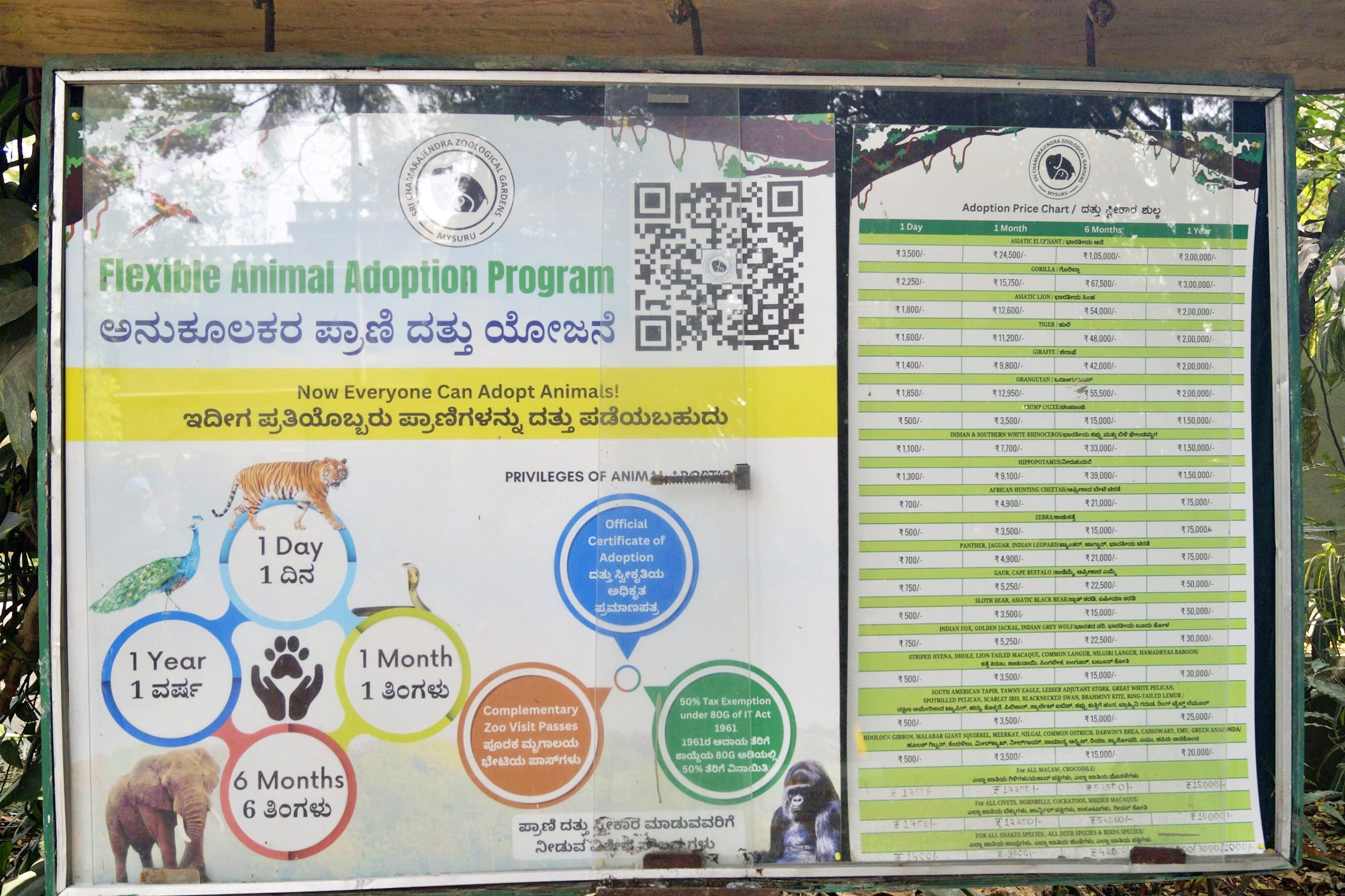 MYSURU ZOO  CHAMARAJENDRA ZOOLOGICAL GARDENS  MYSURU  ಪ್ರಾಣಿಗಳ ದತ್ತು ಯೋಜನೆ