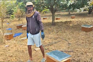 BEEKEEPING IN DEOGHAR
