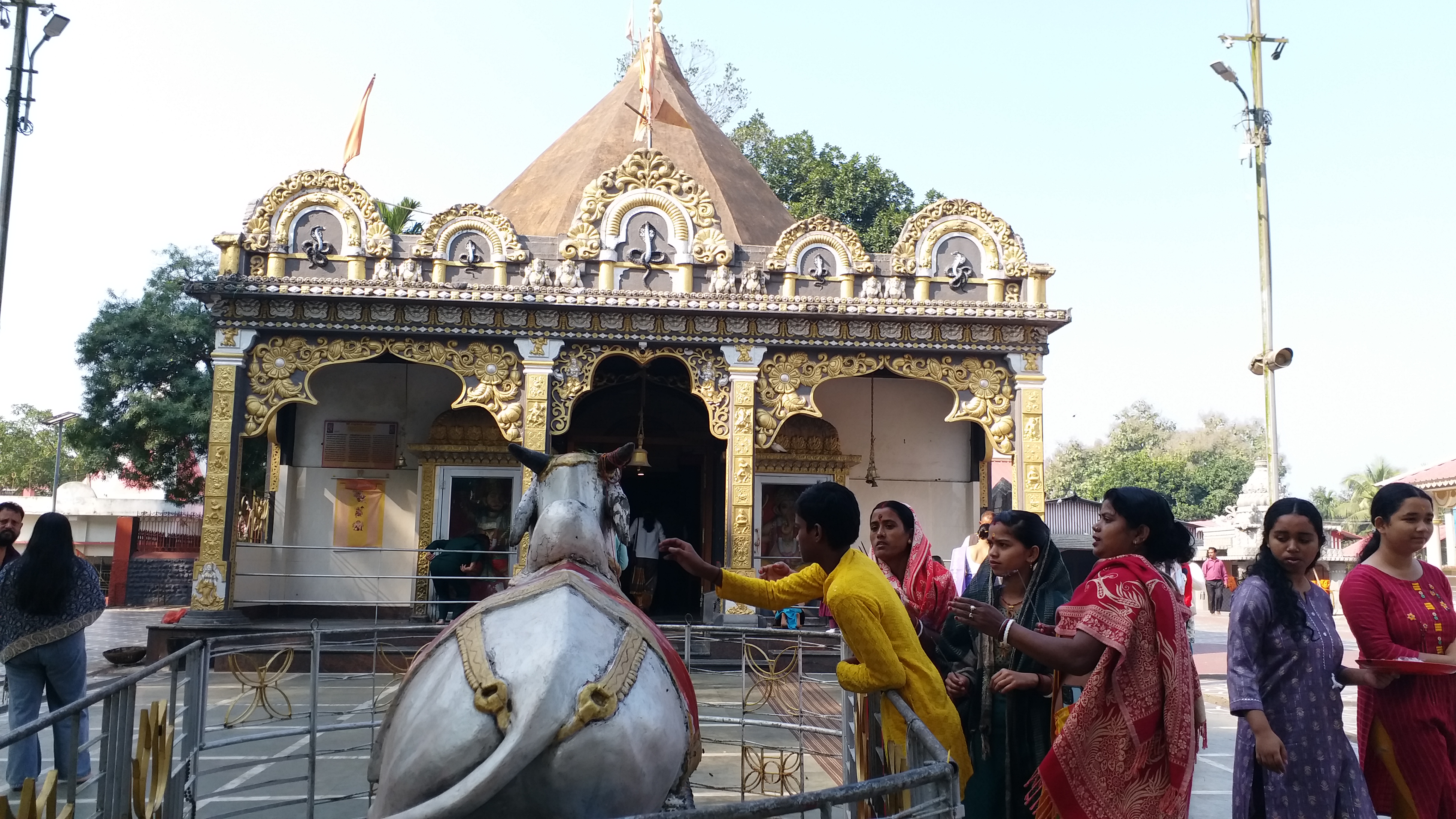 At the beginning of the new year, the flow of tourists in Tezpur city's tourism sector