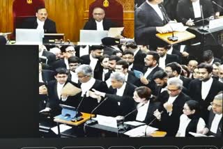 BENGAL SIR SUPREME COURT HEARING