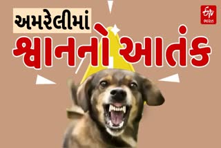 અમરેલીમાં શ્વાનોએ મચાવ્યો આતંક