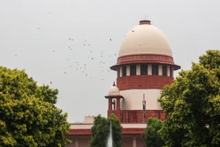 கோப்புப்படம்