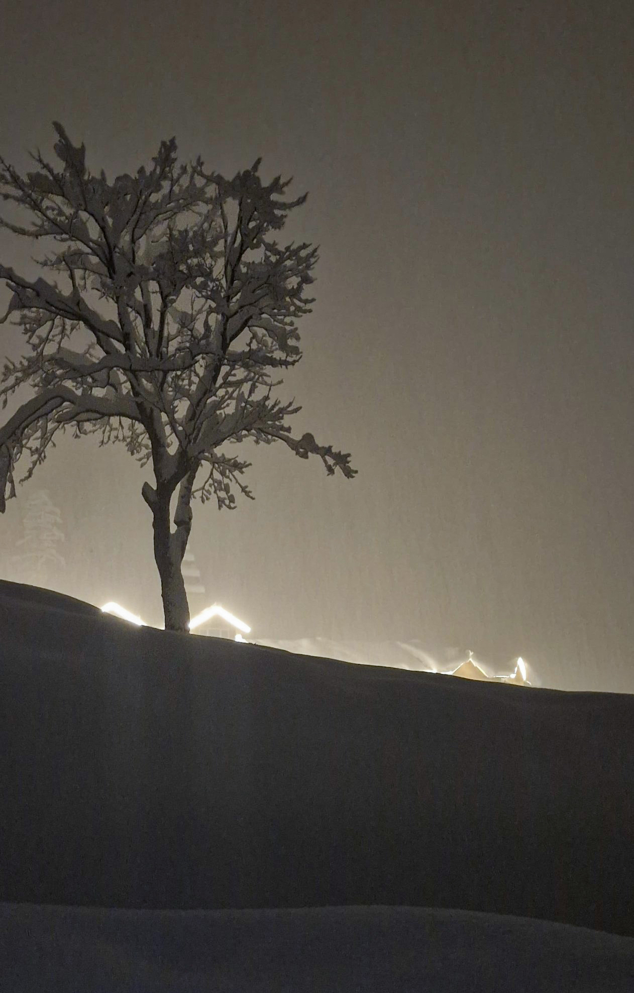 A serene view of a tree amid snow as the day descends, in Gulmarg