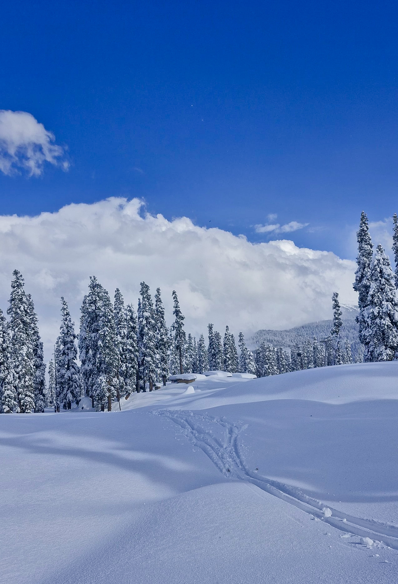 A view of snow clad Gulmarg after fresh snowfall