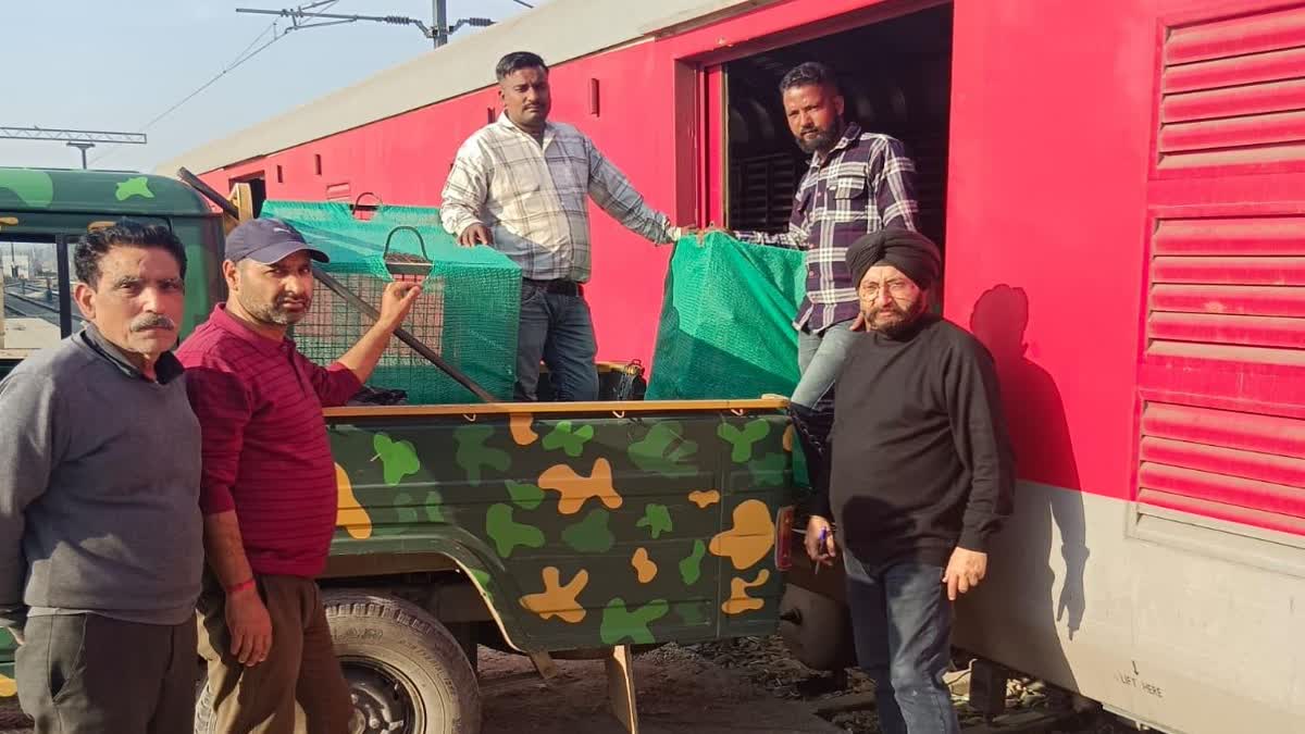 چڑیا گھر کے جانوروں کی بذریعہ ٹرین جموں سے چنئی منتقلی