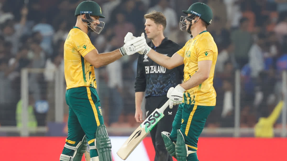 SA VS NZ HEAD TO HEAD RECORDS