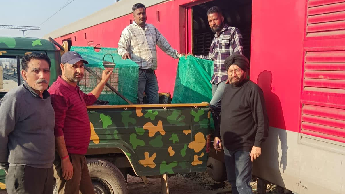 Zoo animals transported from Jammu to Tamil Nadu in train